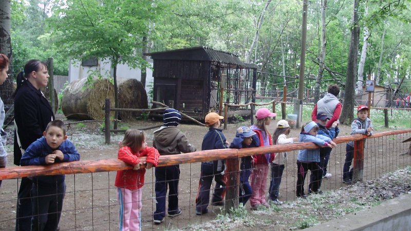 2011 05 02 Vadaspark 028.jpg